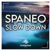 Slow Down (Radio Edit) - Spaneo