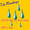 Kind of Boy You Can't Forget - The Raindrops