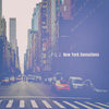 New York Sensations (The New York Sensations Mix) - FG 2