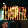 Senorita - DKN