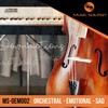 Excitativo - Luiz Helenio