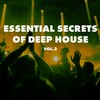 Find My Soul - Deep Sector
