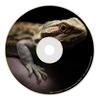 Toast (Original Mix) - Jibis