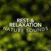 Afternoon Stroll - Rest&Relax Nature Sounds Artists