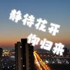 静待花开你归来 - 顽涛