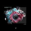 Collateral (JD Powell Remix) - Haliam Nolse&YAR.D