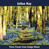 A Long Way from Home - Julian Kay