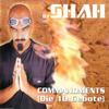 Commandments (Flying Trance Mix) - DJ Shah