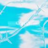 Colder (Explicit) - Stiff Lauren