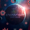 Crisis Evolved - Crossfight