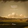 Wanderer (Espen Remix) - Desaturate