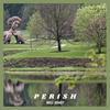 Perish (Explicit) - Mell Duney