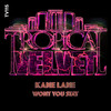 Won't You Stay (Original Mix) - Kane Lane