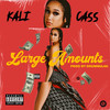 Large Amounts (Explicit) - Kali Cass