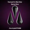 Spiral Dive - Hamzeh&Myk Bee