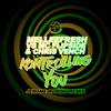 Kontrolling You (Jerome Robins Disko Funk Remix) - Melleefresh&MC Flipside&Chris Vench