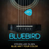 Blue Ain't Your Color (Live From the Bluebird Café) - Steven Lee Olsen