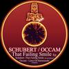That Failing Smile (Occam Remix) - Schubert