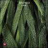 I Am (Original Mix) - Graynoz