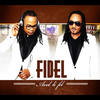 Intro - Fidel