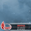 The Coolness of The Night (Original Mix) - Irvina