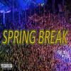 Spring Break (Explicit) - Felix Legion&Big B 11