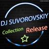 Runs Quickly (Original Mix) - DJ Suvorovskiy