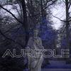 aureole - Senny&hiræth&Pascal Bielinski