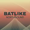 Batlike Northbound - Subin Hider