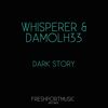 Dark Story (Planctophob Remix) - Whisperer&Damolh33