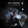 Immortal Fudge (Original Mix) - JVN&Mardial