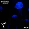 Reset - Krysenstern