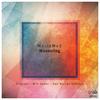 Wandering (Will Canas Remix) - MarioMoS