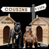 COUSINS 4 LIFE (Explicit) - Mike Gesus&$HOWNOLOVE KAY