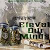 Elevate Our Minds(feat. L.T & Nasty Nano) (Explicit) - Baby Boy Tha Gee&L.T&Nasty Nano