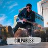 Culpables - David Ponce