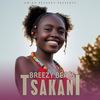 Swi Tshamisekile - Breezybeats&Kay Murdur