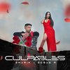 Culpables - Sharik&Sebas R