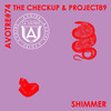 Shimmer (Original Mix) - The Checkup&Project89