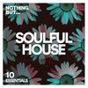 Calling You (Lovemental Mix) - Neapolitan Soul&Mvelo