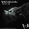 Wolfside (Original Mix) - BassTi M