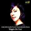 Diggin On You (Original Mix) - Andy Edit&Soulful French Touch&Michelle Rivera