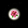UCE (feat. 9ball, RonDaDon & Daebxy) (Explicit) - Lhost&9Ball&RonDaDon&DaeBxy