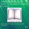 Fly Away (Original Mix) - Thunderwolf&Elizabeth Tseng