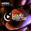 What Did You Do (Radio Edit) - Andski