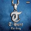 American(feat. KMG & KCI) (Explicit) - T-Bone&KMG&KCi