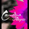 Alegria - Carmelina