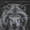 FAKE LOVE - 沈克NICKSHY