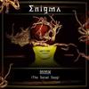 The Social Song - Enigma