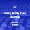 Twenty Twenty Vision (Acapella|Explicit) - AAP&9eleven